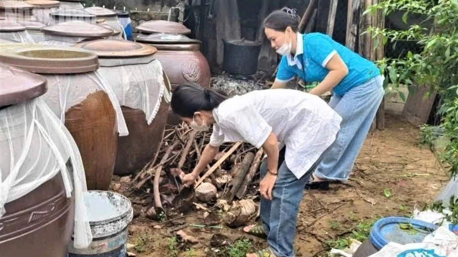 Nghệ An ghi nhận ổ dịch sốt xuất huyết có hàng chục ca mắc