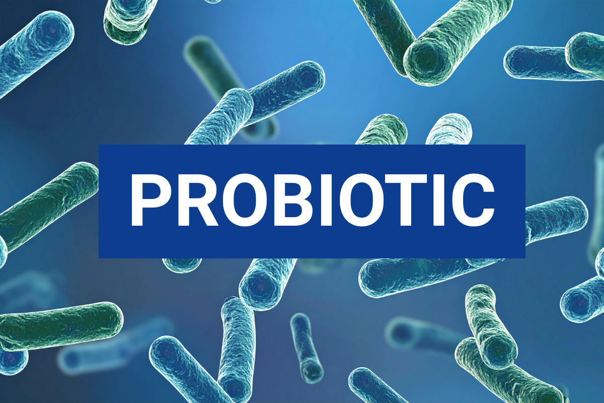 Biến đổi vi khuẩn probiotic để điều trị ung thư tụy