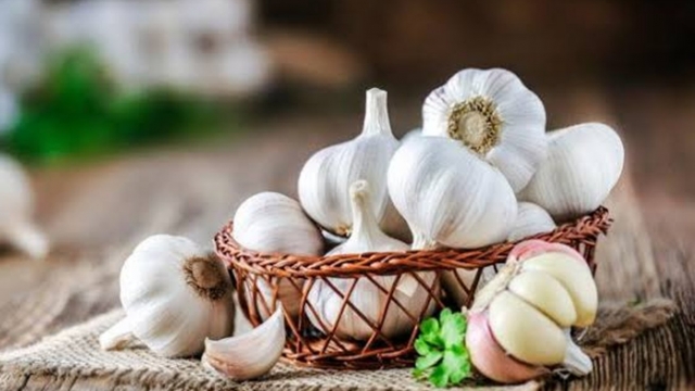 Lợi ích của việc ăn tỏi hằng ngày đối với hệ miễn dịch, tim mạch và những khuyến cáo y khoa