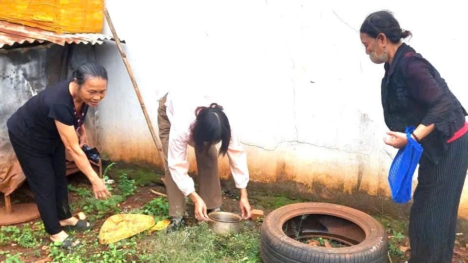 Đắk Lắk ghi nhận 6.715 trường hợp mắc sốt xuất huyết Dengue