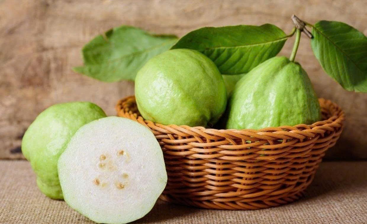 Với mức giá rẻ và dễ tìm, quả ổi lại sở hữu hàm lượng dưỡng chất đáng kể, thậm chí nổi bật hơn nhiều loại trái cây có giá thành cao trên thị trường. Với mức giá rẻ và dễ tìm, quả ổi lại sở hữu hàm lượng dưỡng chất đáng kể, thậm chí nổi bật hơn nhiều loại trái cây có giá thành cao trên thị trường.