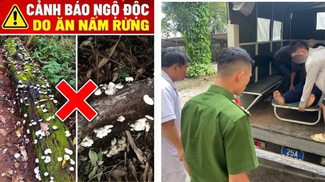 Lực lượng chức năng đưa bệnh nhân bị ngộ độc do ăn nấm rừng đi cấp cứu. Ảnh: Công an Lai Châu Lực lượng chức năng đưa bệnh nhân bị ngộ độc do ăn nấm rừng đi cấp cứu. Ảnh: Công an Lai Châu