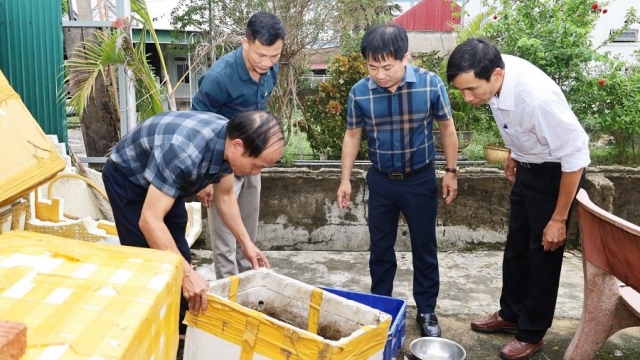 Hà Tĩnh: Tập trung ngăn chặn dịch sốt xuất huyết, không để lây lan diện rộng